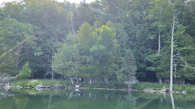 5341 N Benson Rd, Fountain, MI 49410 - photo 39