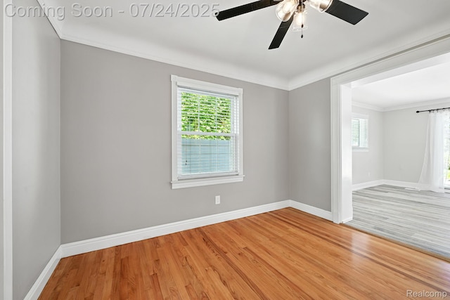 32210 W Chicago St, Livonia, MI 48150 - photo 9
