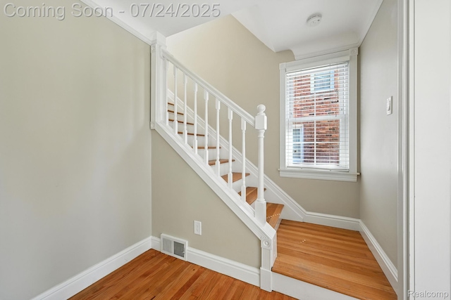 32210 W Chicago St, Livonia, MI 48150 - photo 7