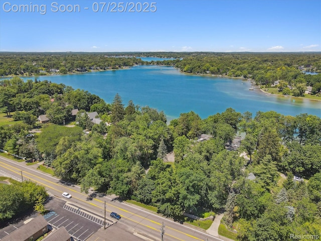 3314 Fieldview Ave, West Bloomfield, MI 48324 - photo 40