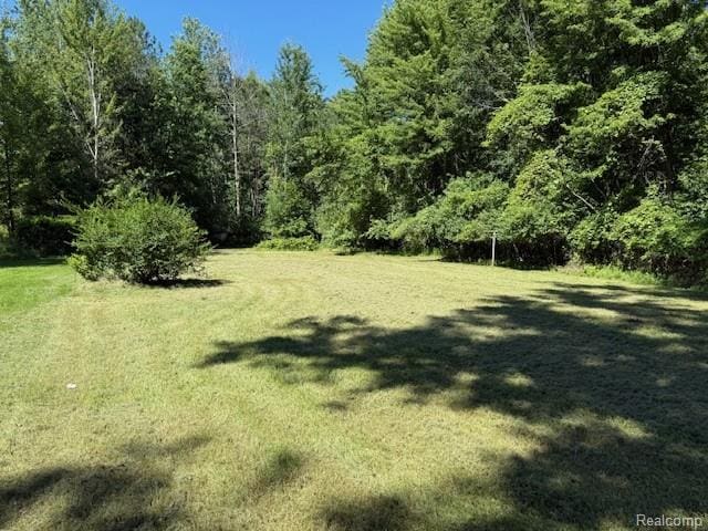 3937 Curtis Rd, Birch Run, MI 48415 - photo 4