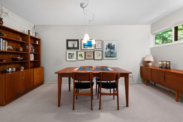 2805 Byington Blvd, Ann Arbor, MI 48105 - photo 19