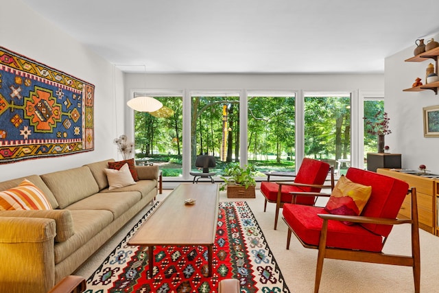 2805 Byington Blvd, Ann Arbor, MI 48105 - photo 11