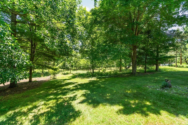 2805 Byington Blvd, Ann Arbor, MI 48105 - photo 62