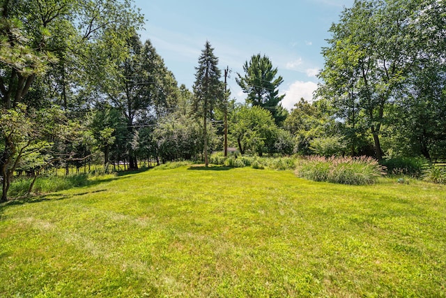 2805 Byington Blvd, Ann Arbor, MI 48105 - photo 49