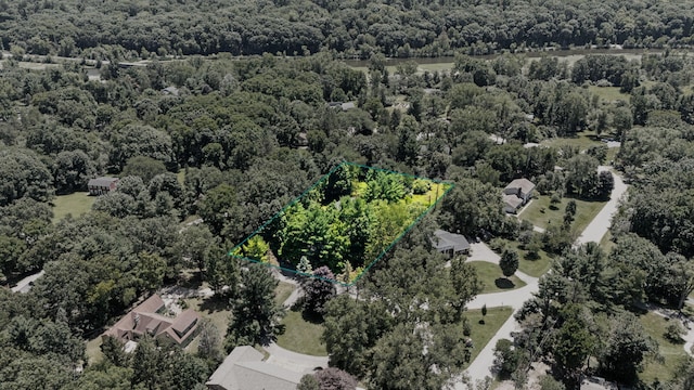 2805 Byington Blvd, Ann Arbor, MI 48105 - photo 82