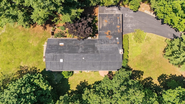 2805 Byington Blvd, Ann Arbor, MI 48105 - photo 64