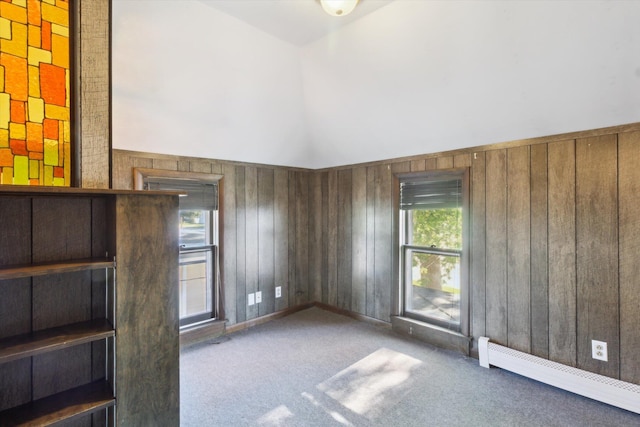 339 N Oak St, Evart, MI 49631 - photo 36