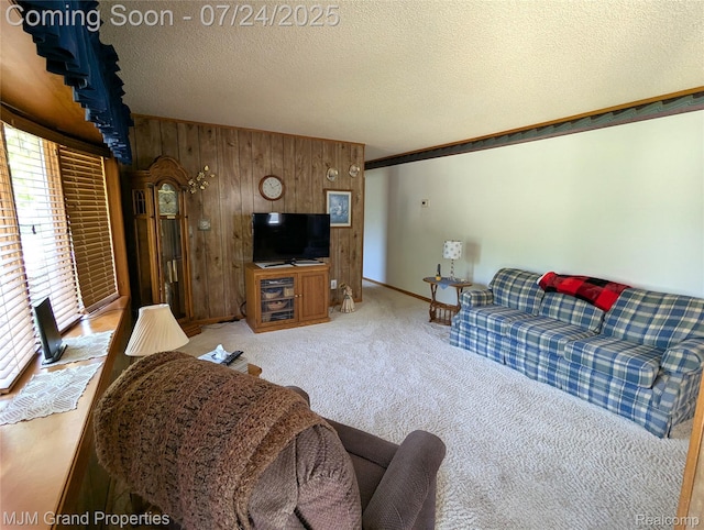 11061 Elmview St, Romulus, MI 48174 - photo 8