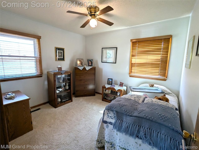 11061 Elmview St, Romulus, MI 48174 - photo 12