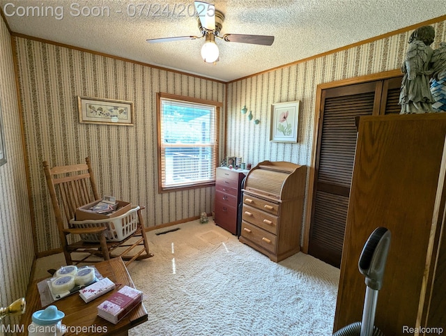 11061 Elmview St, Romulus, MI 48174 - photo 13