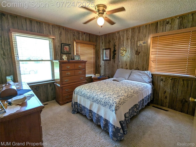 11061 Elmview St, Romulus, MI 48174 - photo 11