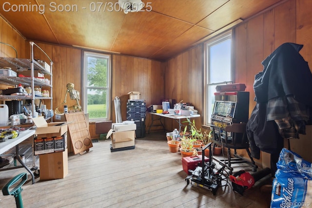 3435 Dietz Rd, Williamston, MI 48895 - photo 14