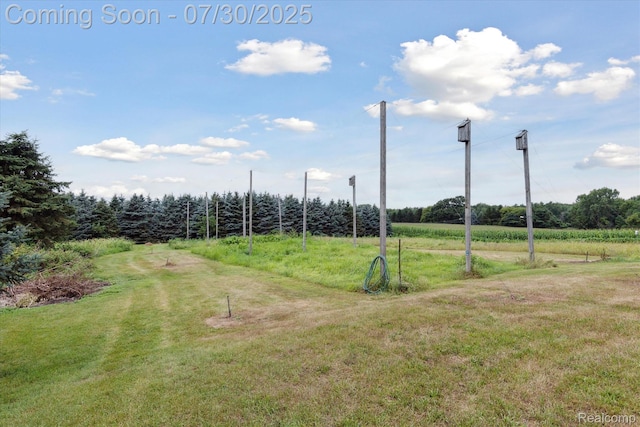 3435 Dietz Rd, Williamston, MI 48895 - photo 43