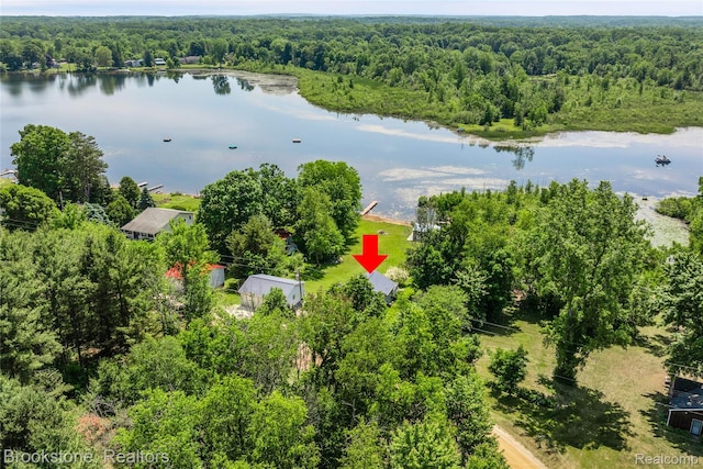 471 Lou Alice Dr, Columbiaville, MI 48421 - photo 38