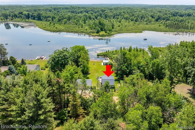 471 Lou Alice Dr, Columbiaville, MI 48421 - photo 37