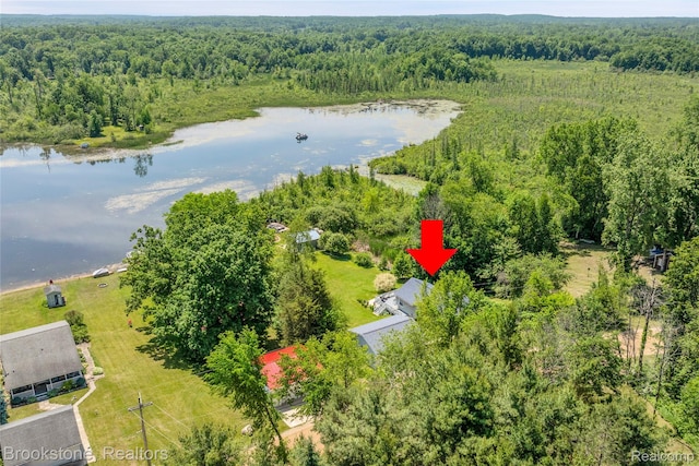 471 Lou Alice Dr, Columbiaville, MI 48421 - photo 45