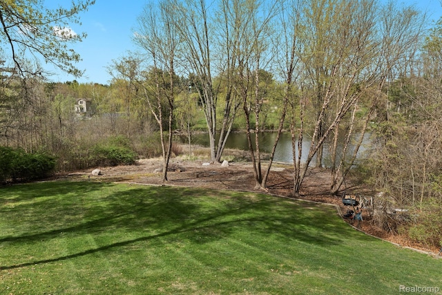 9997 Applegate Ln, Brighton, MI 48114 - photo 6
