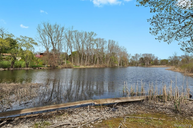 9997 Applegate Ln, Brighton, MI 48114 - photo 7