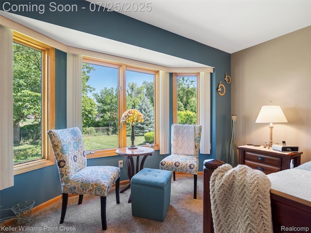 46260 Turnbuckle Ln, Macomb, MI 48044 - photo 28
