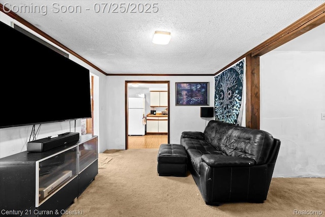 10274 9 Mile Rd, Whitmore Lake, MI 48189 - photo 12