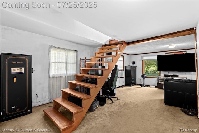 10274 9 Mile Rd, Whitmore Lake, MI 48189 - photo 13