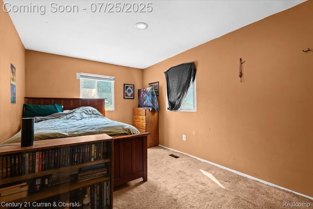 10274 9 Mile Rd, Whitmore Lake, MI 48189 - photo 19