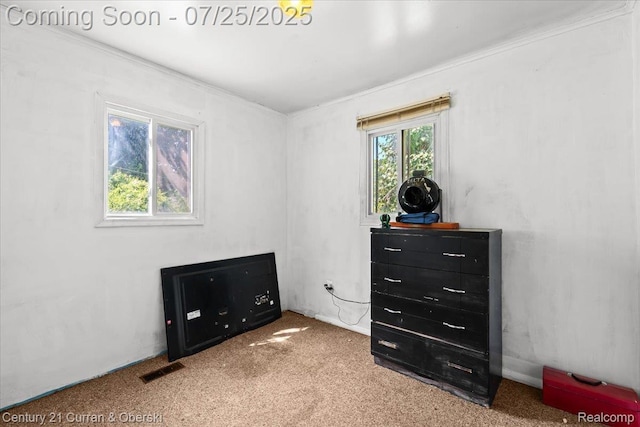10274 9 Mile Rd, Whitmore Lake, MI 48189 - photo 22