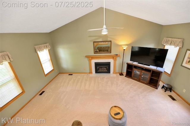 2410 Renfrew Way, Lansing, MI 48911 - photo 22
