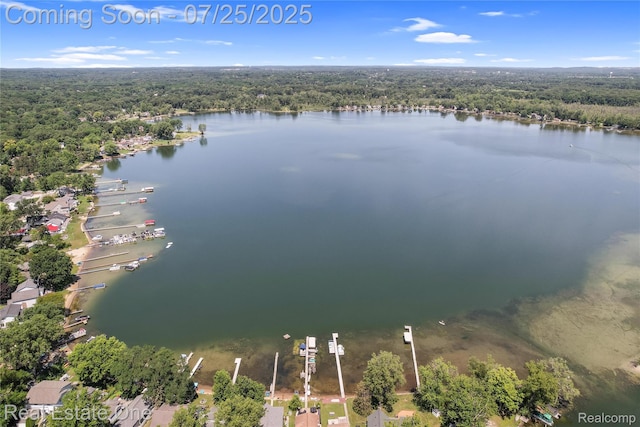 8802 Riverside Dr, Brighton, MI 48116 - photo 33