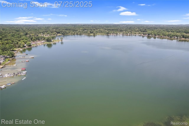 8802 Riverside Dr, Brighton, MI 48116 - photo 34