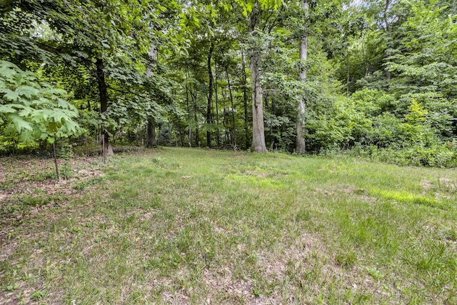 15775 Elm Row Rd, Albion, MI 49224 - photo 30