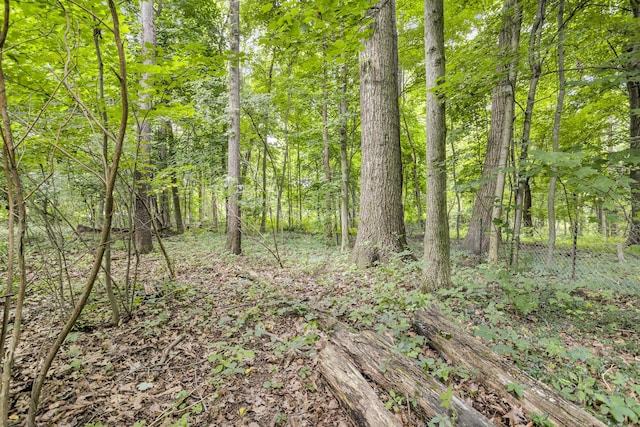 15775 Elm Row Rd, Albion, MI 49224 - photo 5