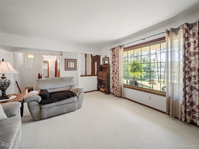 5223 Red Fox Dr, Brighton, MI 48114 - photo 5