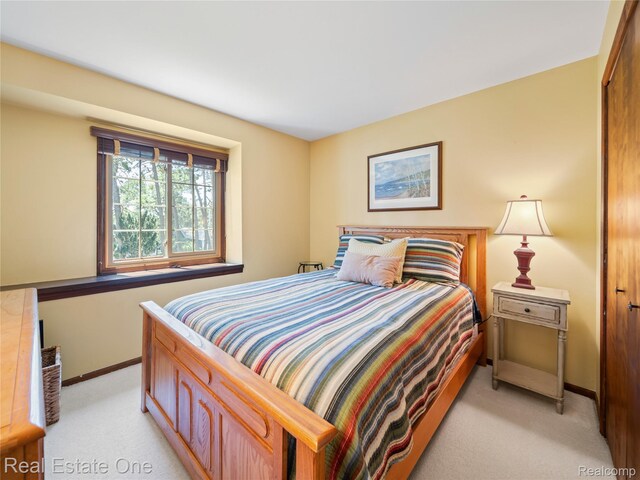 5223 Red Fox Dr, Brighton, MI 48114 - photo 13