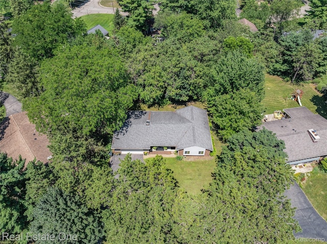 5223 Red Fox Dr, Brighton, MI 48114 - photo 26