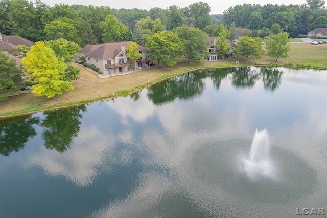 215 Richlyn Dr, Adrian, MI 49221 - photo 43