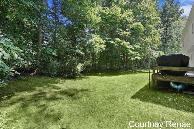 15143 Wintergreen Ct, Spring Lake, MI 49456 - photo 4