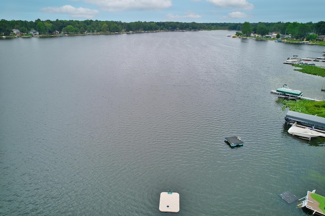 70041 Beach Dr, Edwardsburg, MI 49112 - photo 32
