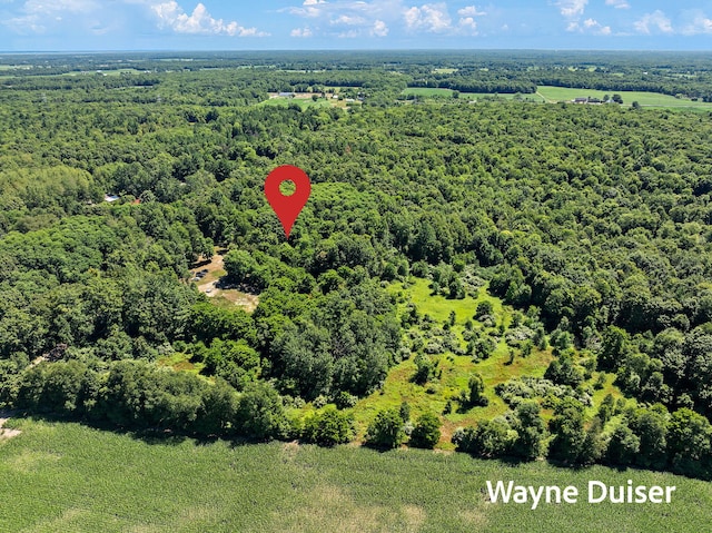 7681 Crocker Rd, Holton, MI 49425 - photo 58