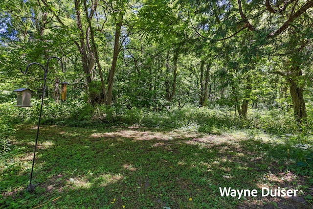 7681 Crocker Rd, Holton, MI 49425 - photo 53
