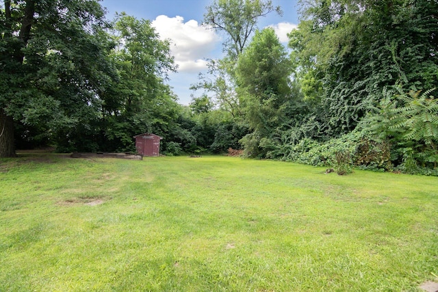 2916 Mcgillivray St, Jackson, MI 49203 - photo 37