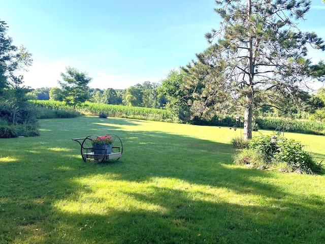 10262 Faussett Rd, Fenton, MI 48430 - photo 35