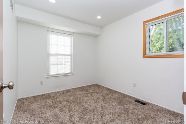 3531 Burbank Dr, Ann Arbor, MI 48105 - photo 23