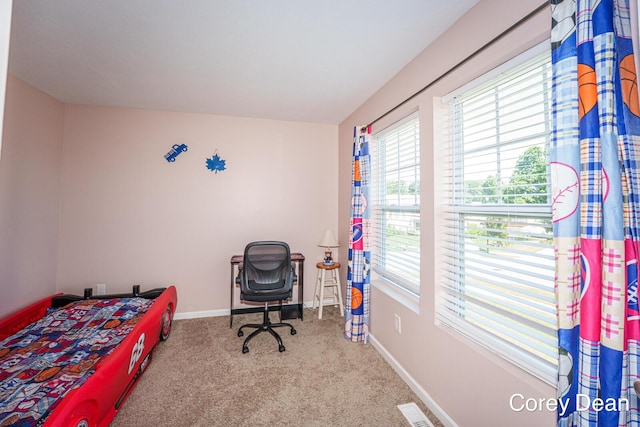 4618 Quaker Hill Ct, Kentwood, MI 49512 - photo 27