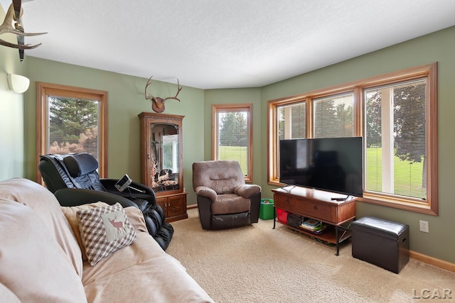 11195 Singer Rd, Brooklyn, MI 49230 - photo 31