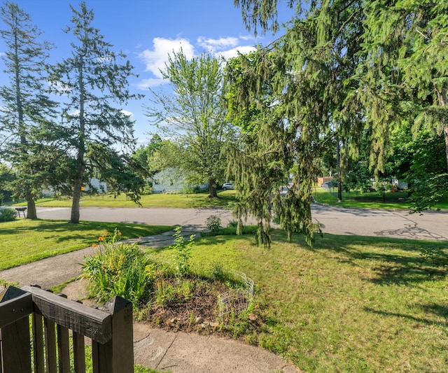 1099 Hawthorne Ave, Ypsilanti, MI 48198 - photo 3