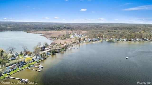 9623 Winston Rd, Pinckney, MI 48169 - photo 18