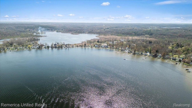 9623 Winston Rd, Pinckney, MI 48169 - photo 15