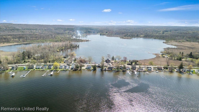 9623 Winston Rd, Pinckney, MI 48169 - photo 17